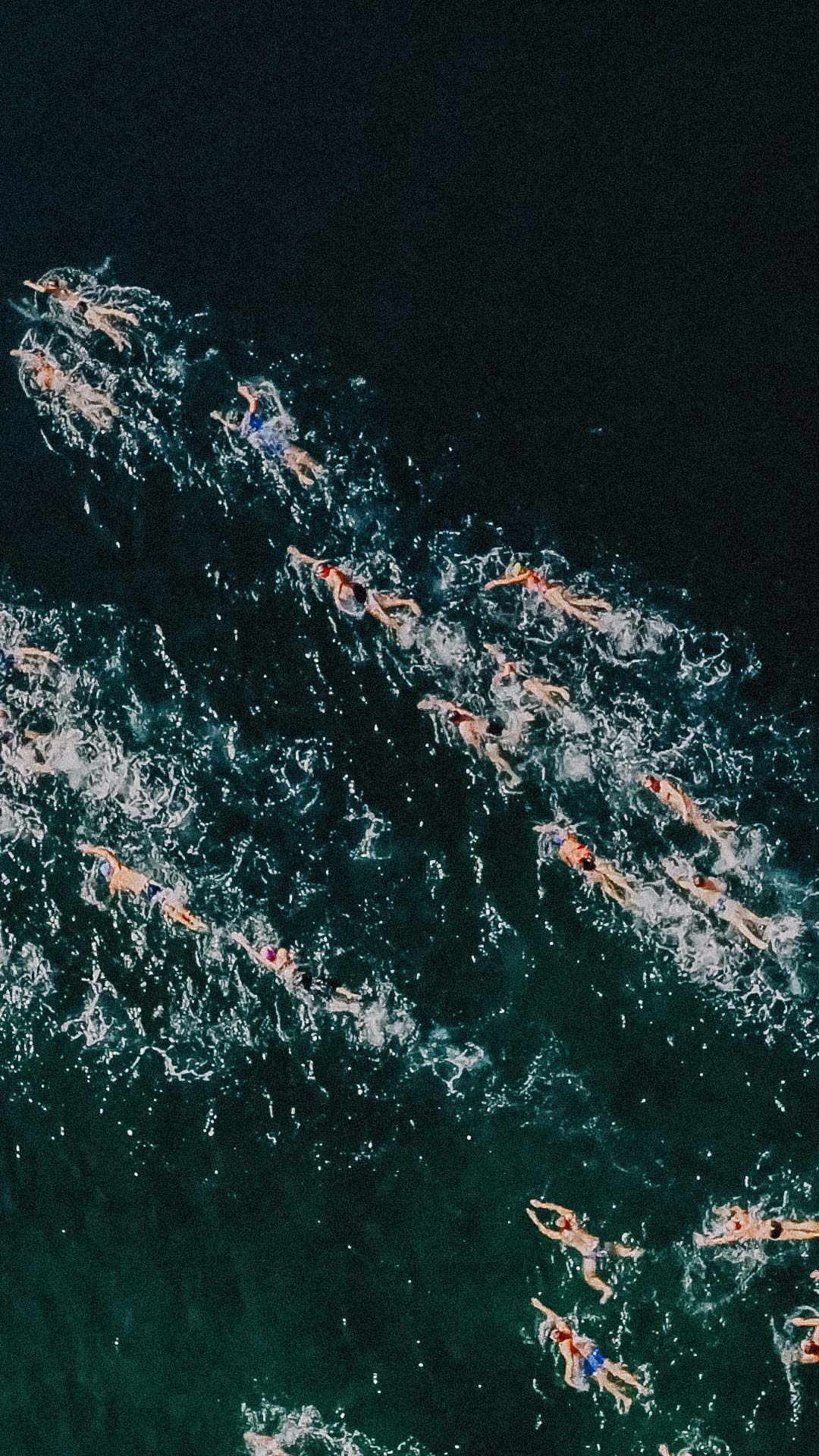 CFD98782 8455 4FC5 9CA8 6EE4C7A2F9DC